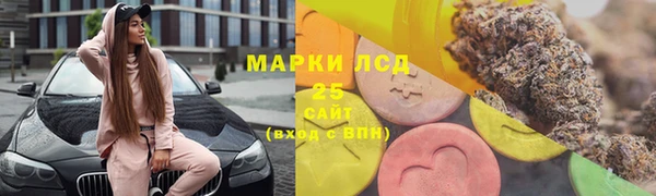 прущий лед Заводоуковск