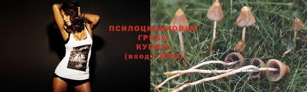 прущий лед Заводоуковск