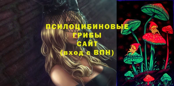 прущий лед Заводоуковск